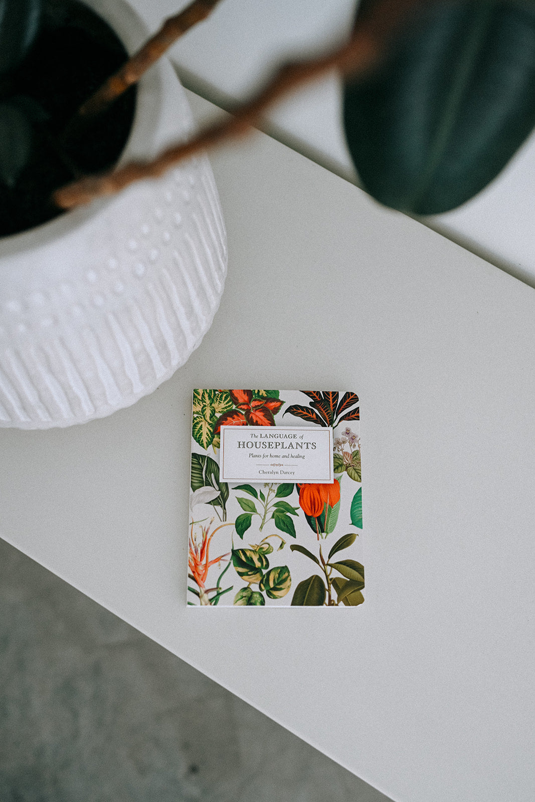 Language of Houseplants